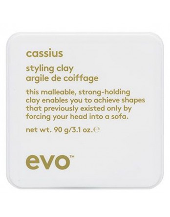 evo cassius styling clay 3.1oz